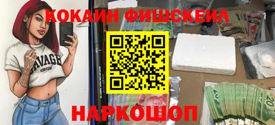 индика Можга