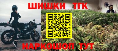 индика Можга