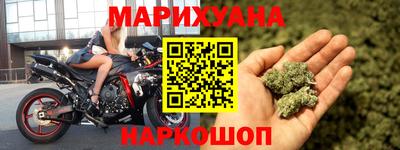индика Можга