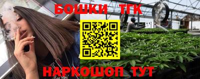 индика Можга