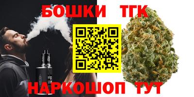индика Можга