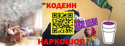 индика Можга