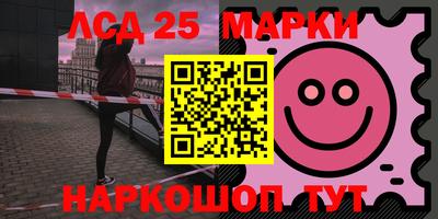индика Можга